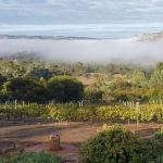 Pecan Hill BNB - Holiday Adelaide 0