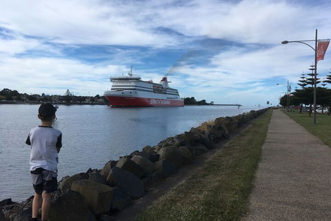 Tiny Tom - Holiday Adelaide 2