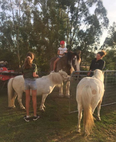 Glamping Gypsy Hobart - Holiday Adelaide 5