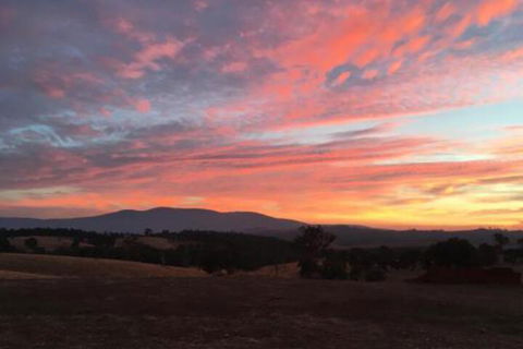 Country Budget - Holiday Adelaide 6