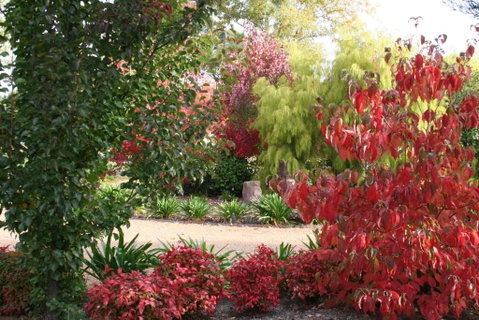 Delderfield Cottages - Holiday Adelaide 4