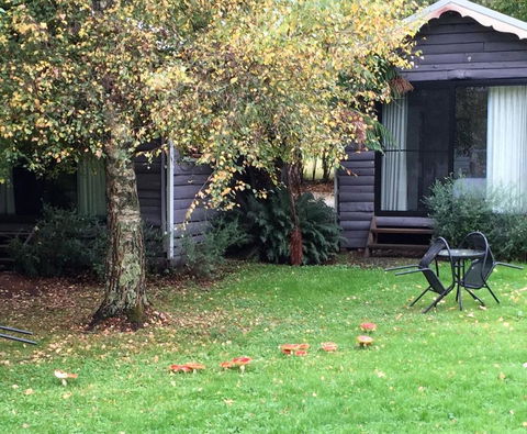 Crossways Country Inn - Holiday Adelaide 4