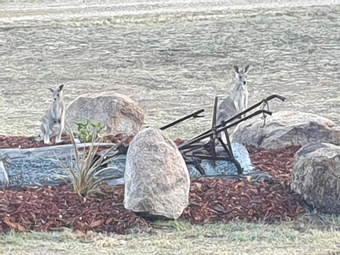 R & R On The Ravine - Holiday Adelaide 5
