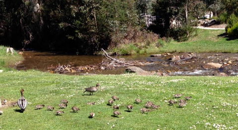 RiverCottage Selfcontained - Holiday Adelaide 3