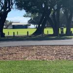 Yaringa Cottage...by The Sea - Holiday Adelaide 0