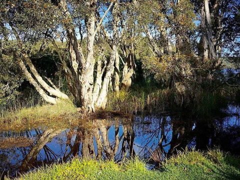 Wisteria Cottage On The Lagoon / Beach - Holiday Adelaide 4