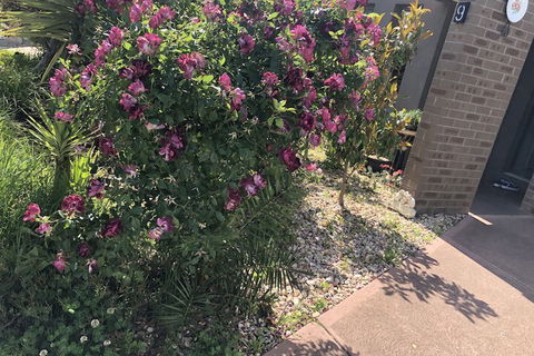 Apple House - Holiday Adelaide 1