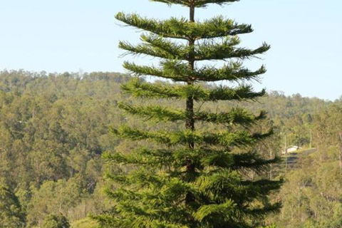 KooralBnB - Holiday Adelaide 3