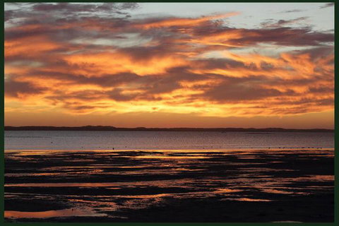 Gumnut Getaway BnB - Holiday Adelaide 4