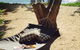 Tali Oak Beach House - thumb 1