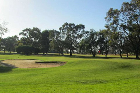 Barmera Country Club Motor Inn - Holiday Adelaide 3