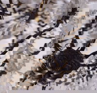 Discover Classic Rocks - Holiday Adelaide