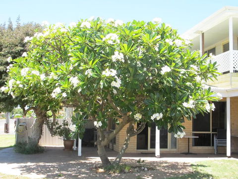 Kalbarri Riverfront Unit - Holiday Adelaide 3