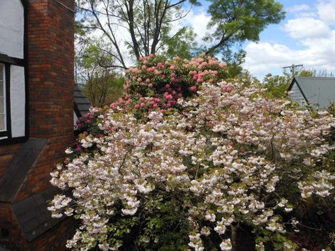 Merrimeet Cottages - Holiday Adelaide 0