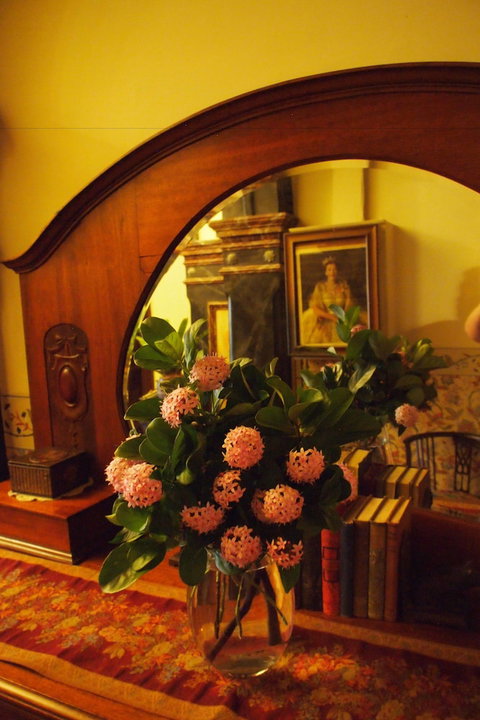 Vacy Hall Toowoomba's Grand Boutique Hotel - Holiday Adelaide 6