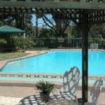 The Tree Motel - Holiday Adelaide 0