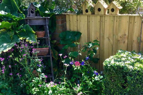 Aggies Bed & Breakfast - Holiday Adelaide 7