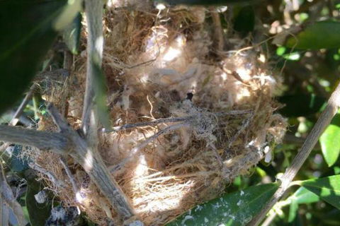 Aggies Bed & Breakfast - Holiday Adelaide 2