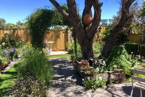 Aggies Bed & Breakfast - Holiday Adelaide 5