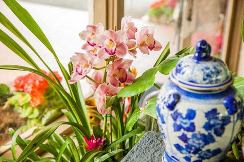 Kempsey Rose Motor Inn - Holiday Adelaide 7