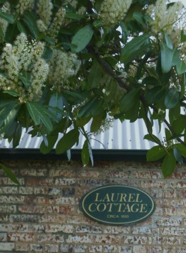 Laurel Cottage - Holiday Adelaide 1