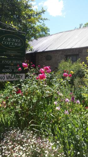 Laurel Cottage - Holiday Adelaide 5