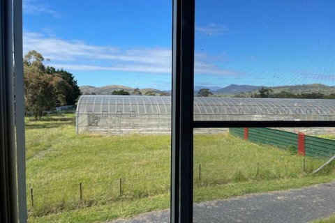 Alexanders' Of Richmond - Holiday Adelaide 7