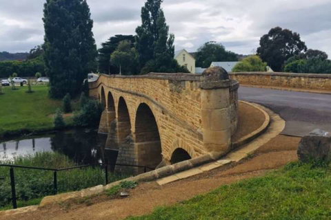 Alexanders' Of Richmond - Holiday Adelaide 2