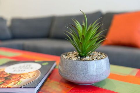 Urban Jungle In The Heart Of The CBD - Holiday Adelaide 1