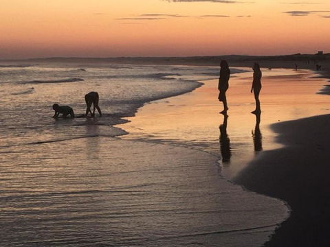 Cromarty Cottage 900m From Birubi Beach - Holiday Adelaide 6