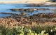 Cromarty Cottage 900m From Birubi Beach - thumb 4