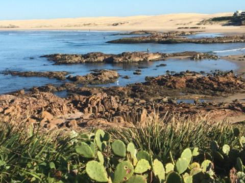 Cromarty Cottage 900m From Birubi Beach - Holiday Adelaide 4
