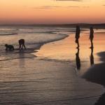 Cromarty Cottage 900m From Birubi Beach - Holiday Adelaide 0