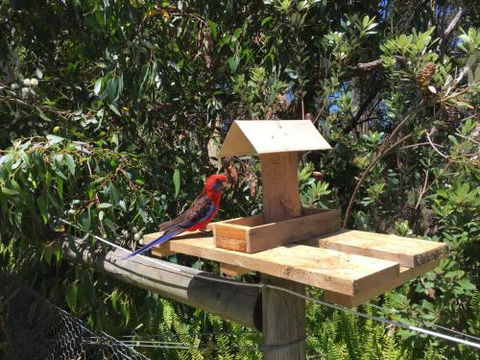 Rosella Cottage Waratah Bay - Holiday Adelaide 1