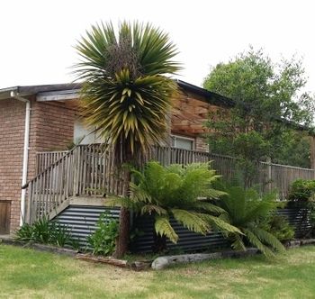 Strahan Holidays - Holiday Adelaide 4