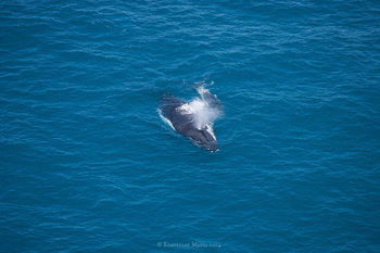 Apartments Located At Blue Seas Resort - Holiday Adelaide 3