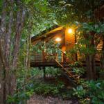 Wildwood - Holiday Adelaide 0
