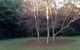 Boambee Retreat - thumb 4
