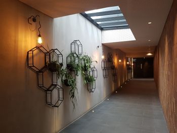 Richmond Lifestyle Apartment - Holiday Adelaide 2