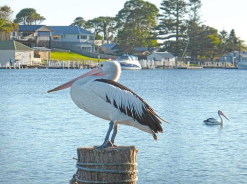 HAIS18G Riverside Delight - Holiday Adelaide 4