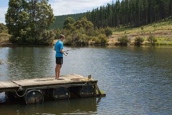 Nannup Valley Chalets - Holiday Adelaide 1