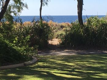 On The Shores Of Geographe Bay - Holiday Adelaide 5