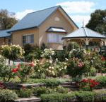 Willows Motel - Holiday Adelaide