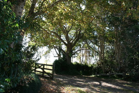 Maleny Mountain Retreat - Holiday Adelaide 0