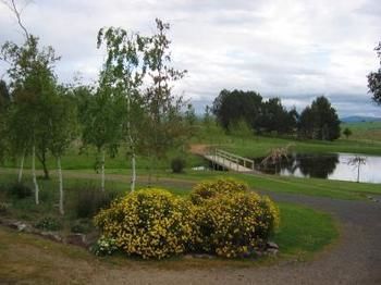 Buttercup Cottage & Private Apartment - Holiday Adelaide 3