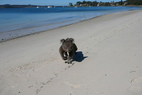 The Mitchells Waterfront Bed & Breakfast - Holiday Adelaide 7
