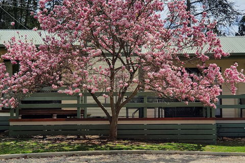 Annies Holiday Units - Holiday Adelaide 3