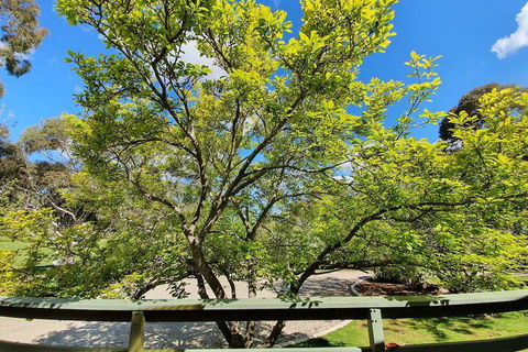 Annies Holiday Units - Holiday Adelaide 2