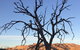 Burnt Creek Cottages Mansfield - thumb 2