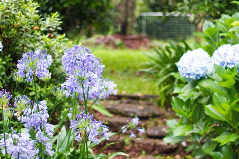Mt Glorious Getaways - Holiday Adelaide 4